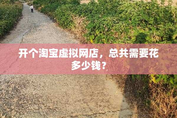 开个淘宝虚拟网店，总共需要花多少钱？