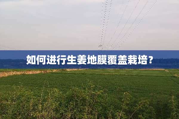 如何进行生姜地膜覆盖栽培？