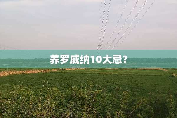 养罗威纳10大忌？