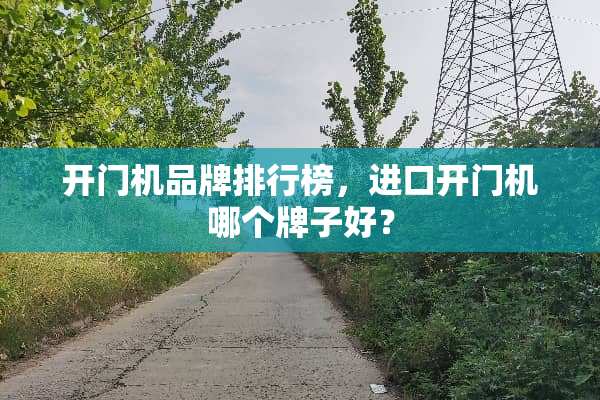 开门机品牌排行榜，进口开门机哪个牌子好？