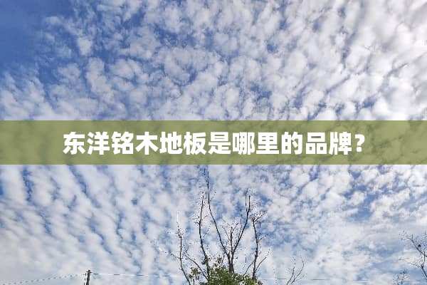 东洋铭木地板是哪里的品牌？