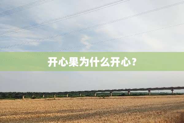 开心果为什么开心？