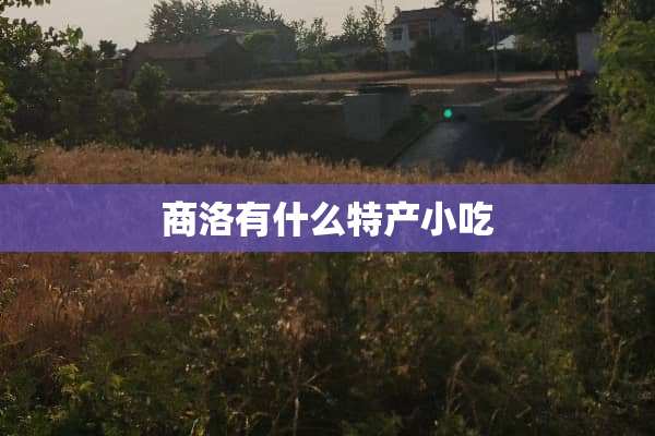 商洛有什么特产小吃