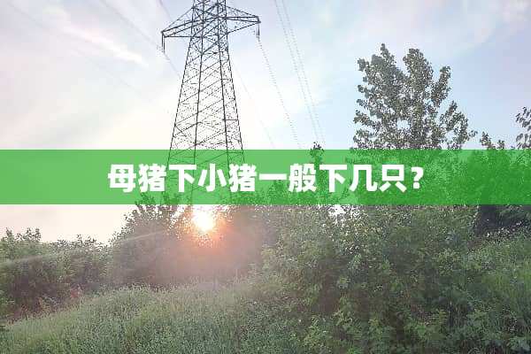 母猪下小猪一般下几只？