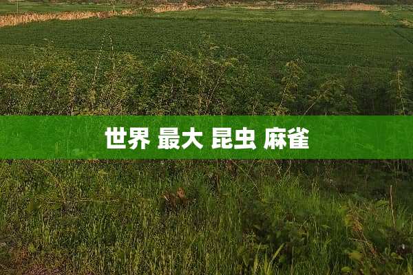 世界 最大 昆虫 麻雀