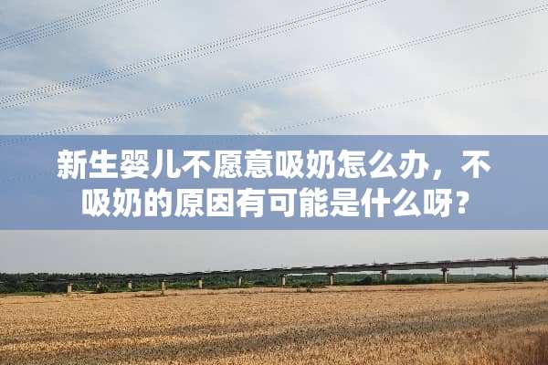 新生婴儿不愿意吸奶怎么办，不吸奶的原因有可能是什么呀？