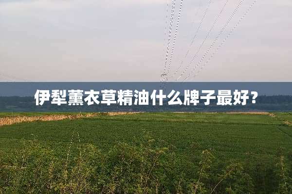 伊犁薰衣草精油什么牌子最好？