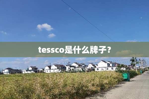 tessco是什么牌子？