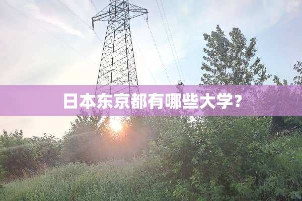 日本东京都有哪些大学？