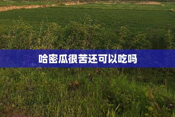 哈密瓜很苦还可以吃吗