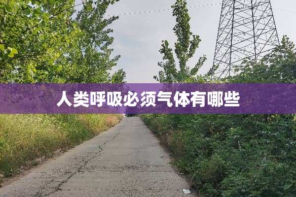 人类呼吸必须气体有哪些