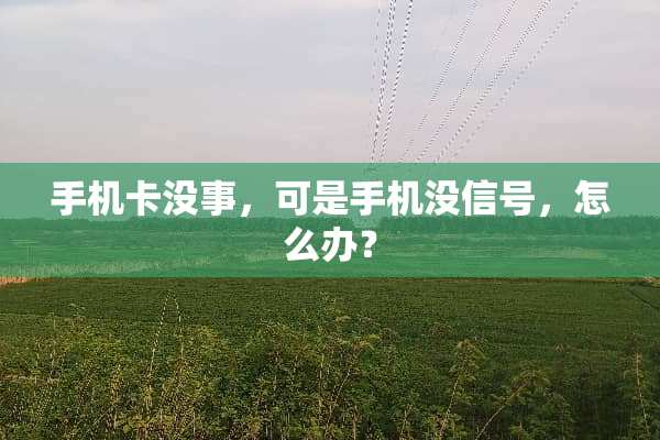 手机卡没事，可是手机没信号，怎么办？
