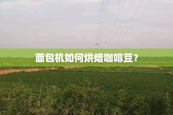 面包机如何烘焙咖啡豆？