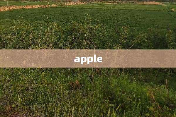 apple