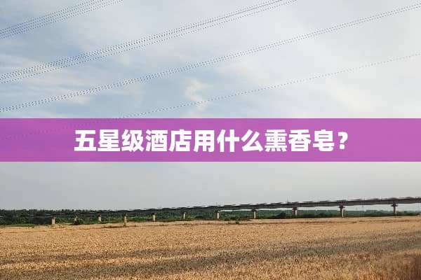 五星级酒店用什么熏香皂？