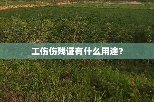 工伤伤残证有什么用途？