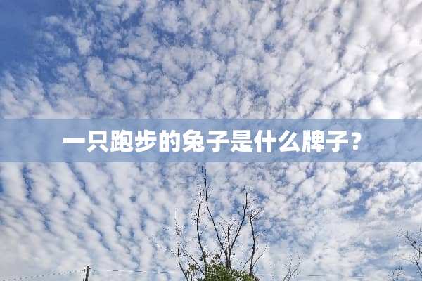 一只跑步的兔子是什么牌子？