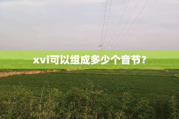 xvi可以组成多少个音节？