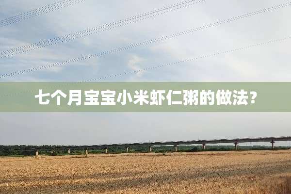 七个月宝宝小米虾仁粥的做法？