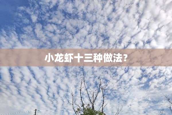 小龙虾十三种做法？