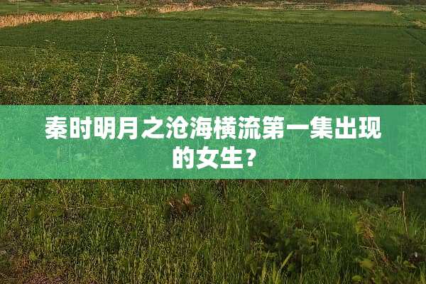 秦时明月之沧海横流第一集出现的女生？