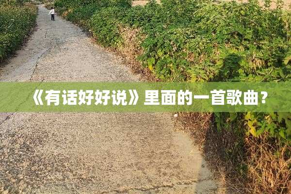 《有话好好说》里面的一首歌曲？