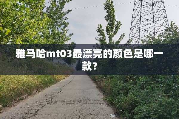 ***mt03最漂亮的颜色是哪一款？