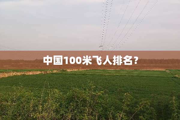 中国100米飞人排名？