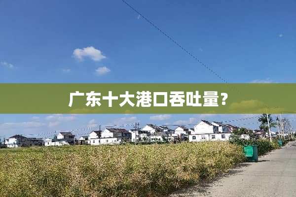 广东十大港口吞吐量？