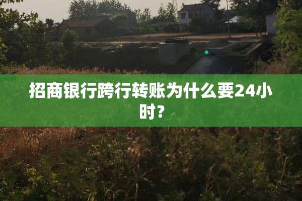 招商银行跨行转账为什么要24小时？
