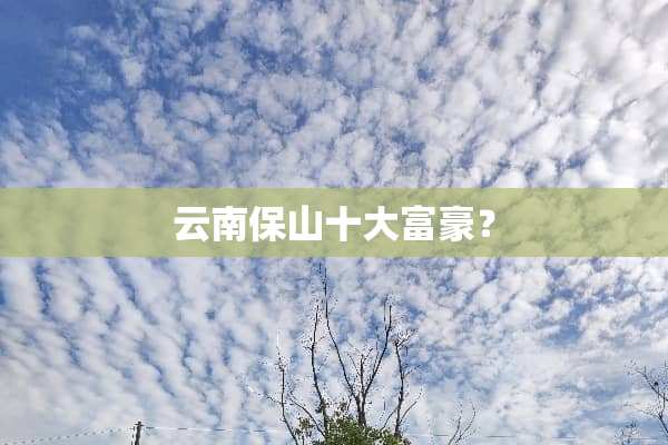云南保山十大富豪？