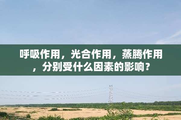 呼吸作用，光合作用，蒸腾作用，分别受什么因素的影响？