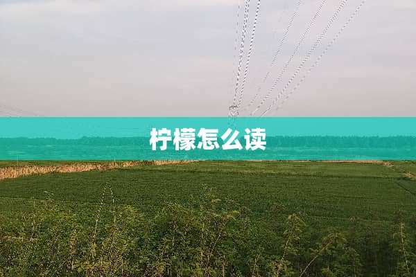 柠檬怎么读