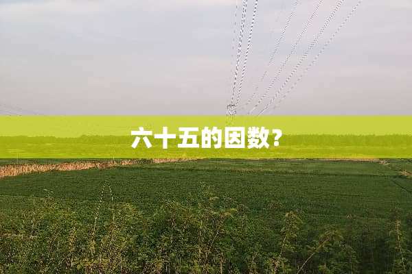 六十五的因数？