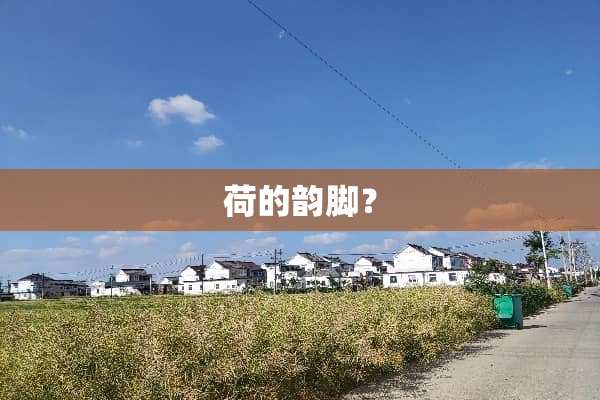 荷的韵脚？