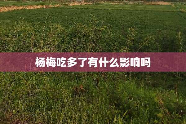 杨梅吃多了有什么影响吗
