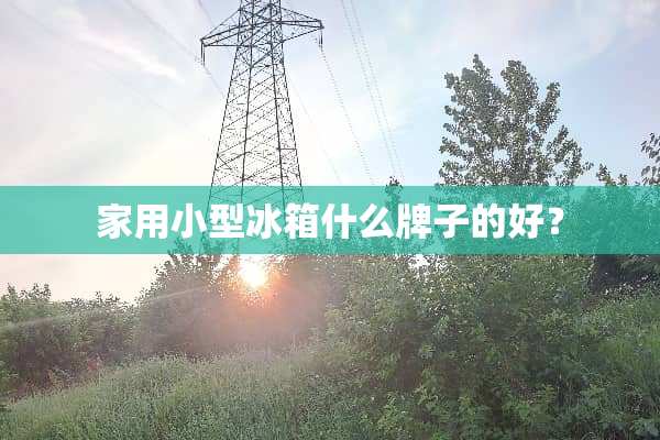 家用小型冰箱什么牌子的好？