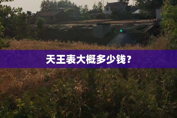 天王表大概多少钱？