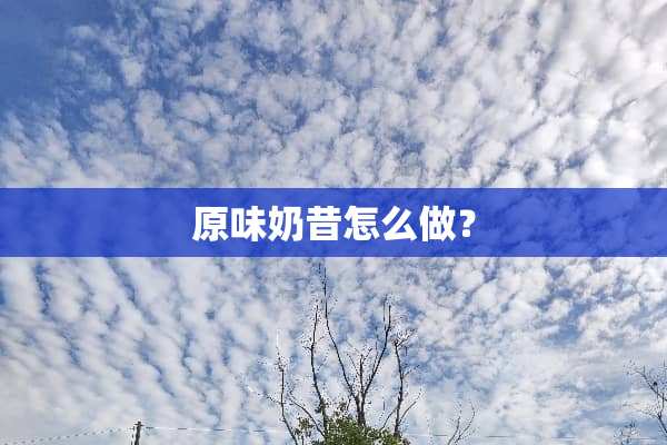 **奶昔怎么做？
