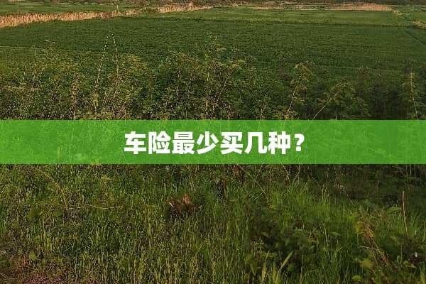 车险最少买几种？
