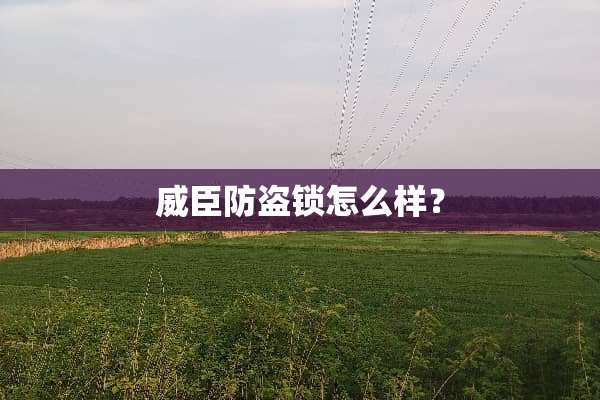 威臣防盗锁怎么样？