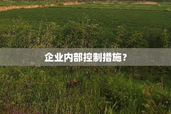 企业内部控制措施？