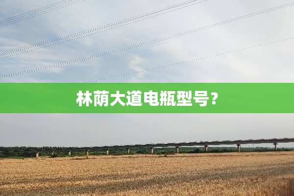 林荫大道电瓶型号？