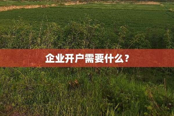 企业开户需要什么？
