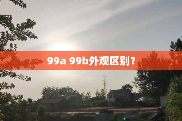 99a 99b外观区别？