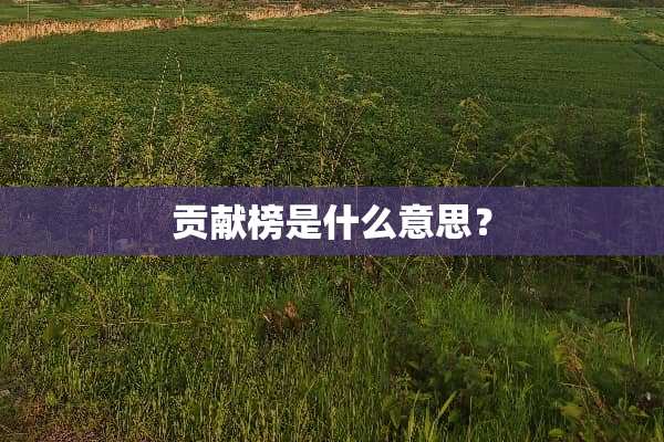 贡献榜是什么意思？