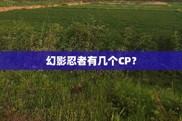 幻影忍者有几个CP？
