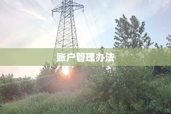 账户管理办法