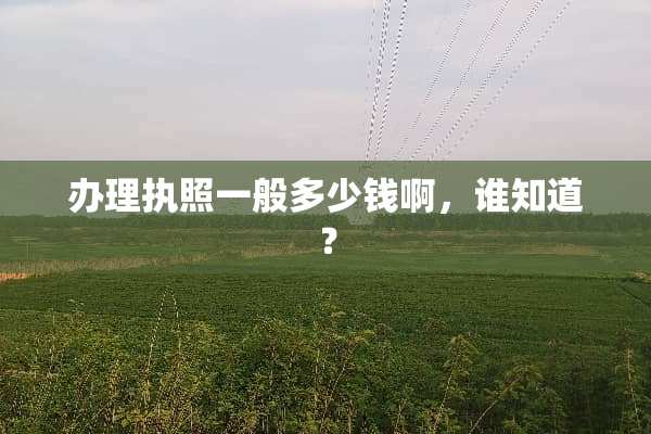 办理执照一般多少钱啊，谁知道？
