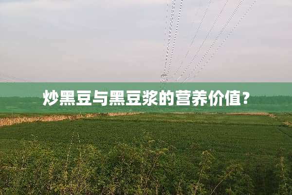 炒黑豆与黑豆浆的营养价值？